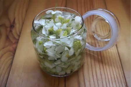 ドクダミで虫よけスプレー