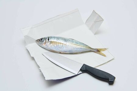 魚を切るときは開いた牛乳パックを利用