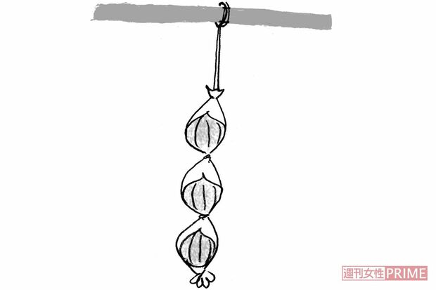 【玉ねぎ】ストッキングに詰めて日陰に吊るしておく（イラスト/やのひろこ）