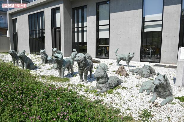 樺太犬のモニュメントも。外来生物持ち込み禁止のため、今は犬ぞりは使用していない　撮影／渡邉智裕