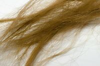 正しいシャンプーのやり方を知っていますか?「上から下」に洗うは御法度です!