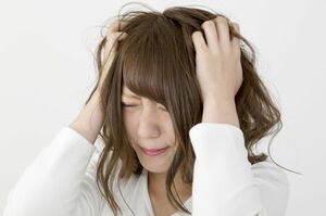 ※写真はイメージ