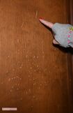カイヤが部屋に逃げると川崎麻世が追いかけてドアに刃物を突き立てたという