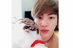 フクロモモンガも（公式SNSより）