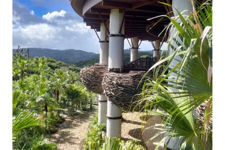 『ジャングリア沖縄』の実際の様子（Xより）