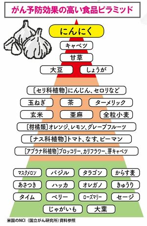 がん予防効果の高い食品ピラミッド