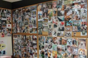 ご遺族の思いが伝わるペットの写真が隙間なく貼られていた