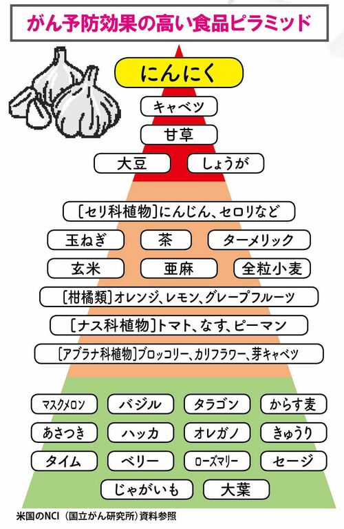 がん予防効果の高い食品ピラミッド