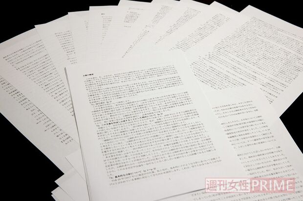 計28枚、４万字超に及ぶ文書はまるで論文。内容の矛盾を指摘され、「納得できない」との声が相次ぐ