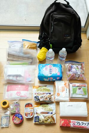 防水機能のない通常のリュックの場合、登山用のザックカバーをかけると防水になりおすすめ