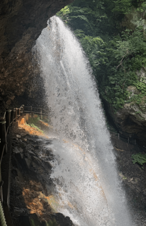 ホテルの窓からの眺めがきれいで、自然の中で癒されました