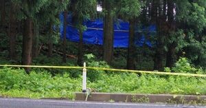 遺棄現場。山林内には約10メートル四方のブルーシートが設けられており、脇には花束とコーヒーが供えられていた