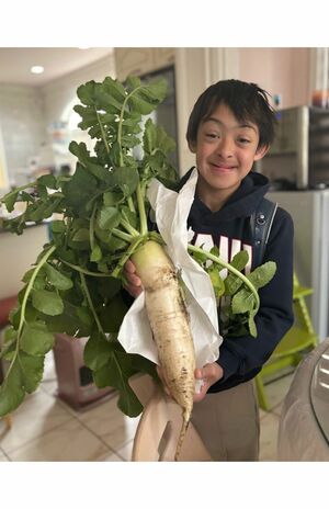 《小学校でお野菜を育てているケンジくん。定期的にいろんなお野菜を持って帰ってきてくれるのですが、今回は大物》(美保さんのブログより)