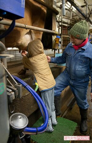 搾乳室(ミルキングパーラー)で乳しぼりを体験。磯沼さんが手助けをしながら、小さな子どももひとりで挑戦(撮影/齋藤周造)