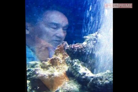 自宅の水槽に映ったジャニー喜多川氏の姿（田中斗希提供）