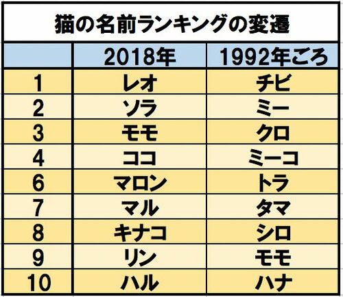 虎 名前 ストア ペット