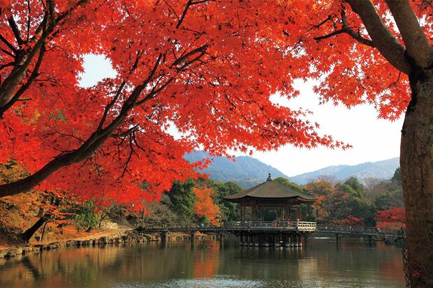 奈良公園・鷺池に浮かぶ檜皮葺きの東屋「浮見堂」