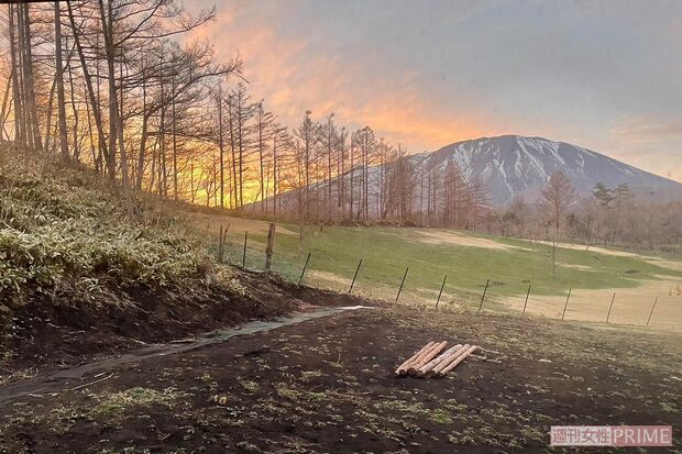 『ペットの里』