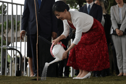 ブラジル公式訪問中、記念植樹されたイペーの木に水やりをする佳子さま（2025年6月8日）写真／共同通信