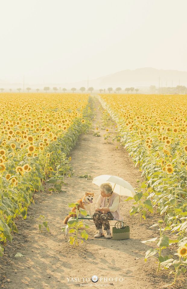 撮影は岡山県の笠岡ベイファームにて　提供：YASUTO