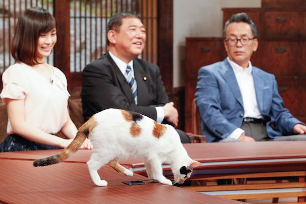 愛猫家・石破茂大臣もデレデレの“にゃーにゃ”に辛い過去