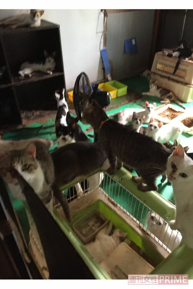 引っ越して2か月くらいの足利市の自宅（関係者提供）