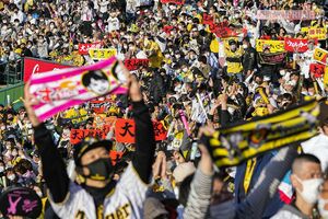 スポーツ観戦では定番グッズの「応援タオル」※写真はイメージです