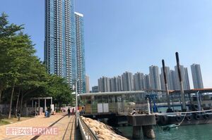 香港市内筌湾（せんわん）地区（山本さん提供写真）