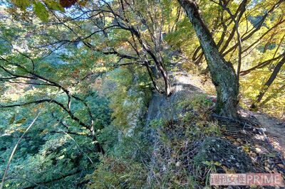 '10年に撮り鉄と思われる男性の死亡事故があった崖。ほぼ断崖絶壁