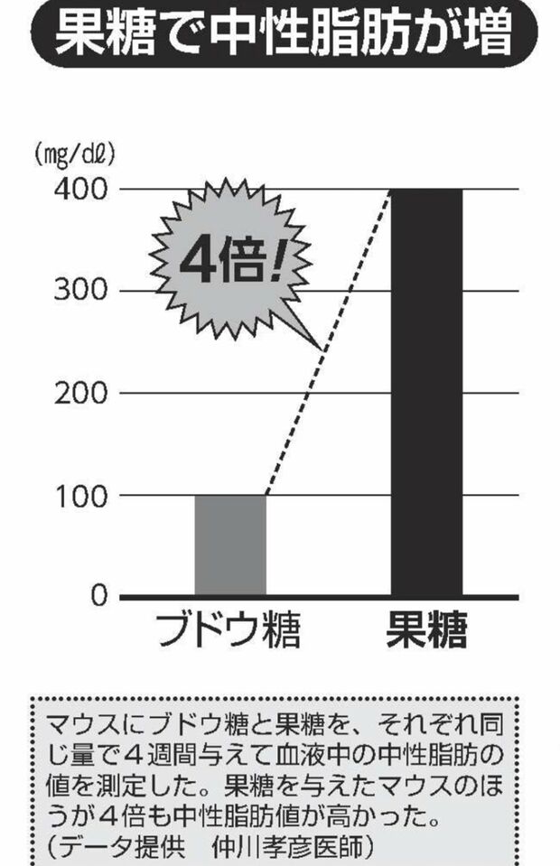 マウスにブドウ糖と果糖を、それぞれ同じ量で４週間与えて血液中の中性脂肪の値を測定した。果糖を与えたマウスのほうが４倍も中性脂肪値が高かった。（データ提供　仲川孝彦医師）