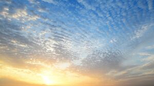 どん底の状況下にあった依頼者から 再度、質問がーー