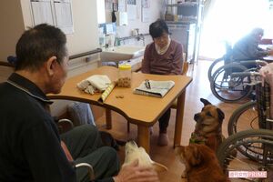 入居者のペットも、保護された犬・猫も関係なく、のびのびと過ごす動物たちと触れ合える