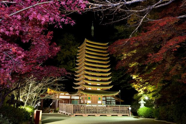 静けさに包まれた境内では、十三重塔以外の本殿なども光に照らされてみやびな光景が広がる