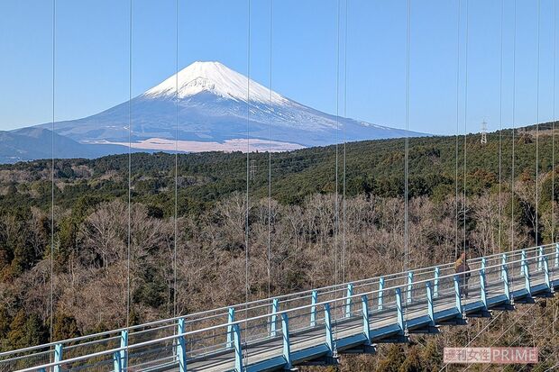 三島スカイウォーク　撮影／編集部