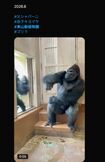 父・シャバー二の登場で緊張するキヨマサ(Xより)