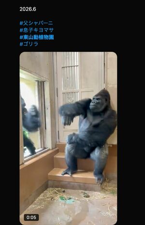 父・シャバー二の登場で緊張するキヨマサ(Xより)