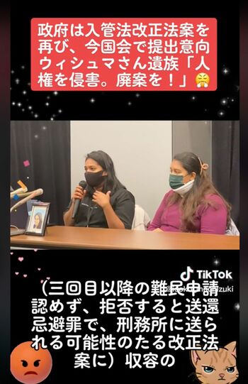 望月衣塑子記者がTikTokに投稿したキラキラ加工された動画