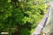 湯沢橋の下、川のほとりにAさんの死体は遺棄されていた