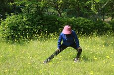 《脳機能を改善する運動》脳のエネルギーを高めて認知症を予防「習慣化で細胞が若返る」太極拳やヨガで“本当の健康”を維持