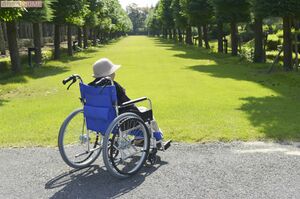 ※写真はイメージです