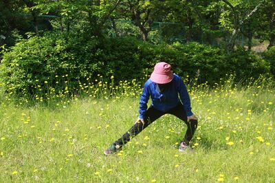 《脳機能を改善する運動》脳のエネルギーを高めて認知症を予防「習慣化で細胞が若返る」太極拳やヨガで“本…