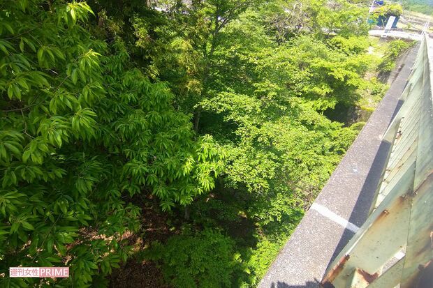 湯沢橋の下、川のほとりにAさんの死体は遺棄されていた