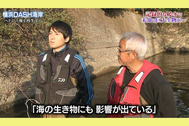 『鉄腕DASH!!』にもたびたび出演していた桝太一アナ