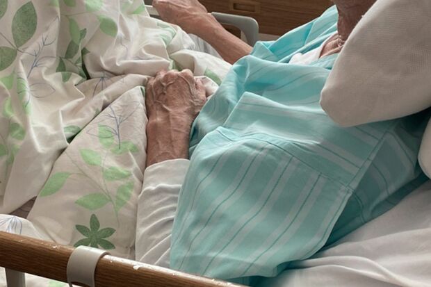 写真はイメージです