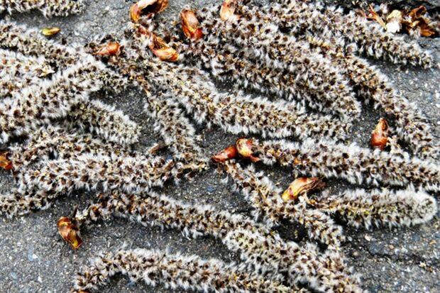 ※写真はイメージです