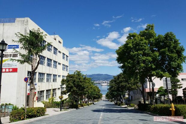 北海道・函館の名所になった八幡坂は多くの作品に登場する