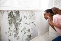 「カビ感染で亡くなる人は着実に増えている」と専門医、特にリスクが高い人は?
