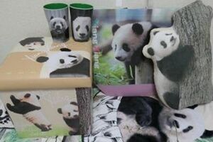 写真を使ったスツールボックス、クッション、ブランケット、バッグ、カップ（写真：筆者撮影／東洋経済オンライン）