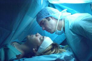 (c) Les Films Pelléas, Les Films du Bélier, Films Distribution / ReallyLikeFilms