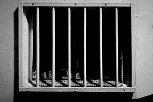 写真はイメージです